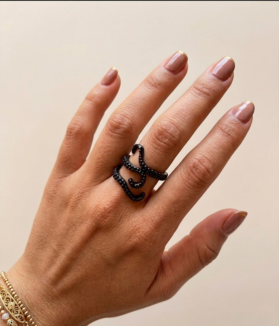 Anillo Obscuridad del Mar