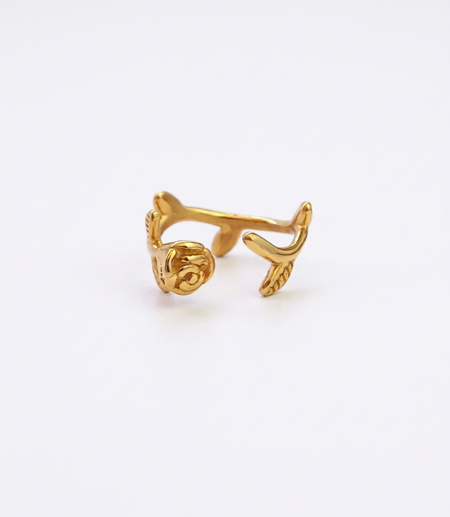 Anillo Rosa Encantada