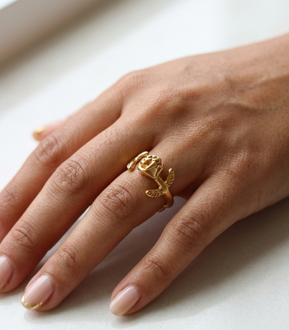 Anillo Rosa Encantada